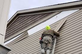 Historical Building Siding Restoration in Scott, LA